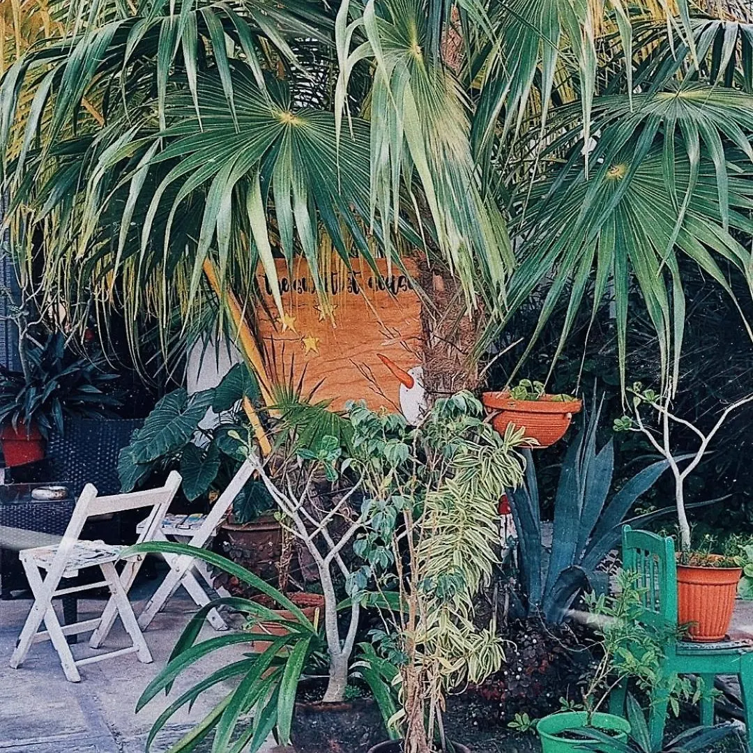 Homestay Tu Casa En El Caribe Apartment Cancun Mexico