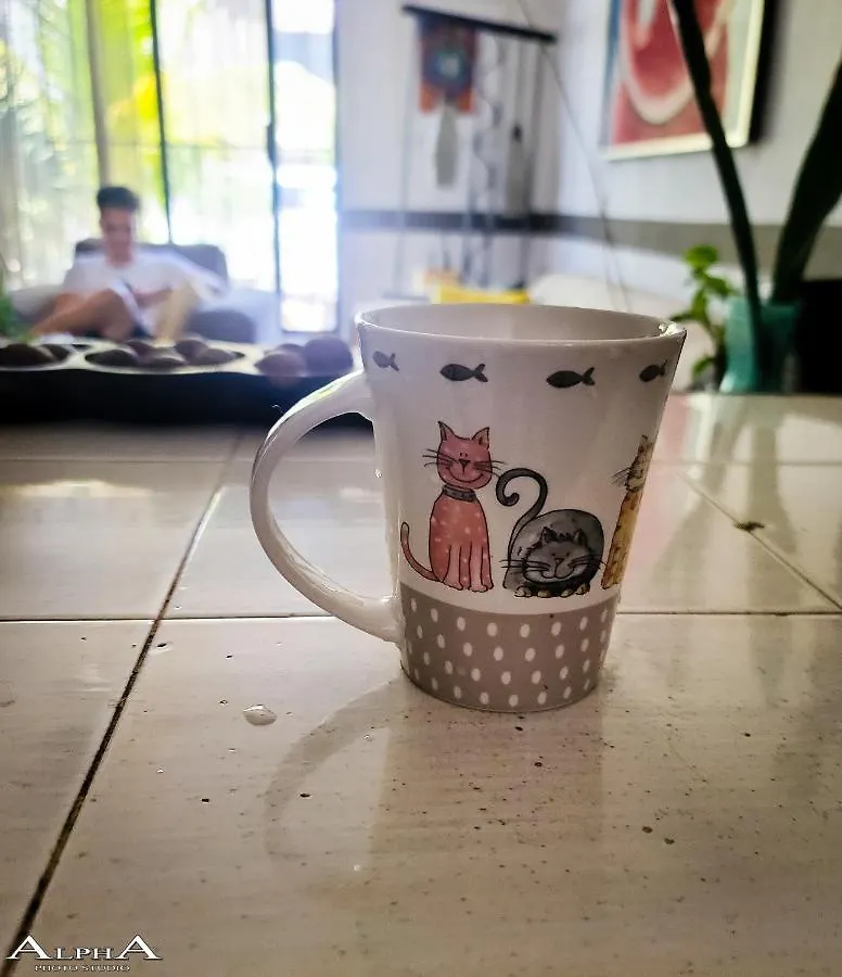 Tu Casa En El Caribe Apartment Cancun Homestay