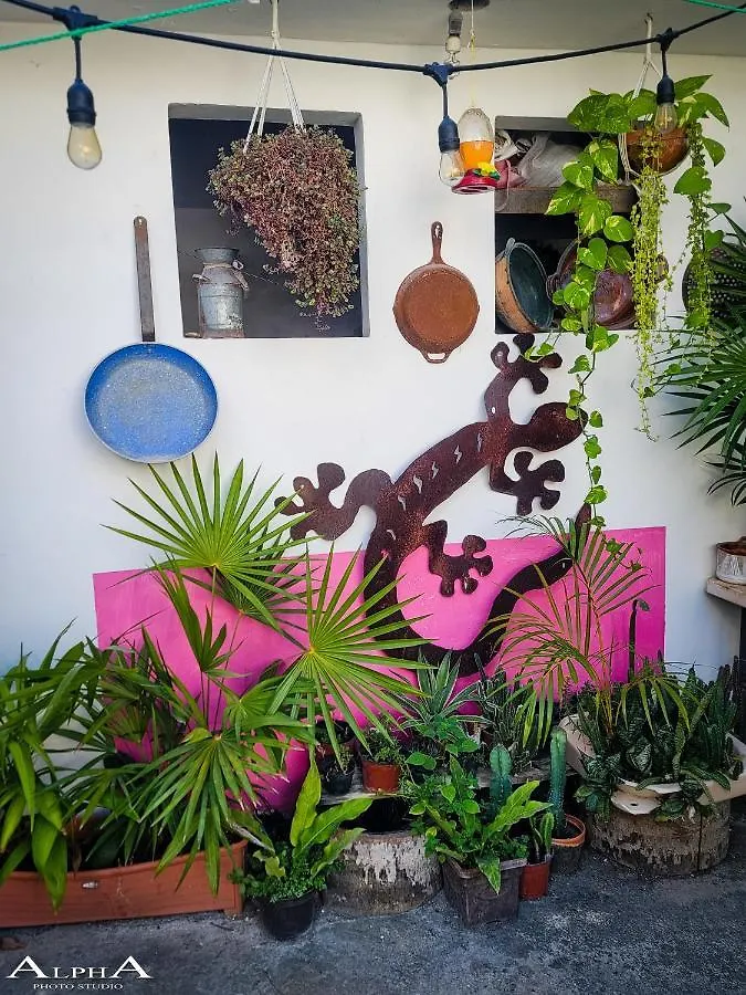 Tu Casa En El Caribe Apartment Cancun Homestay